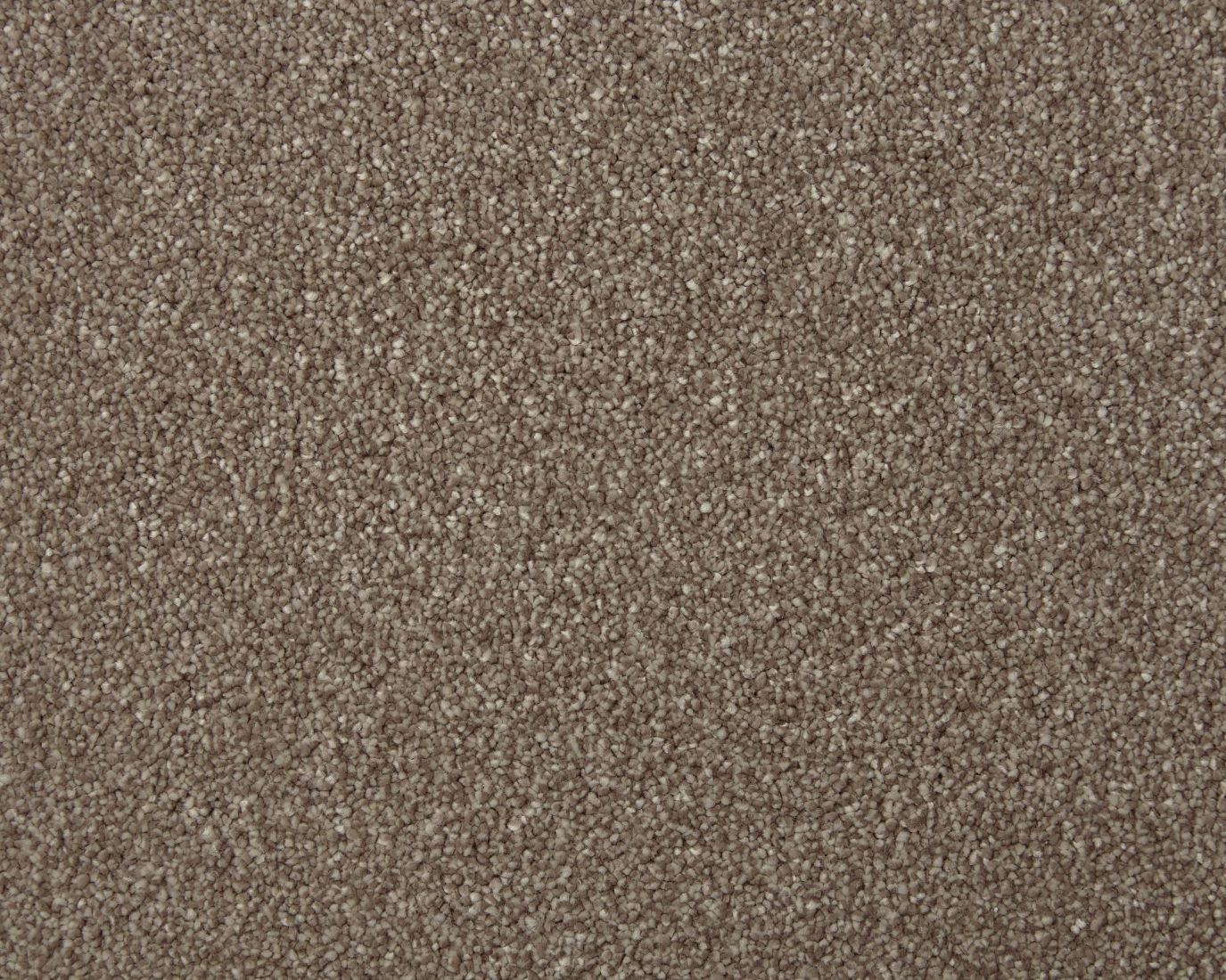 Amorous Super Soft Dense Saxony Carpet - Mexican Rice Amorous Super Soft Dense Saxony Carpet - Mexican Rice