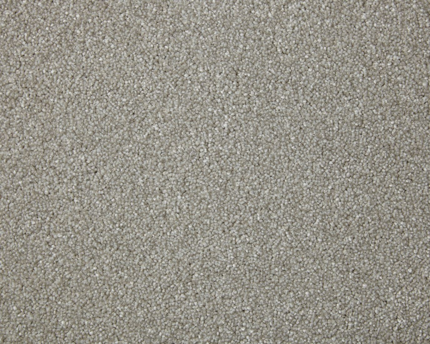Amorous Super Soft Dense Saxony Carpet - Morning Dew Amorous Super Soft Dense Saxony Carpet - Morning Dew