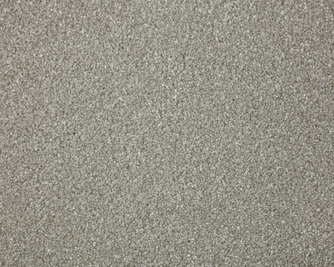 Amorous Super Soft Dense Saxony Carpet - Morning Dew