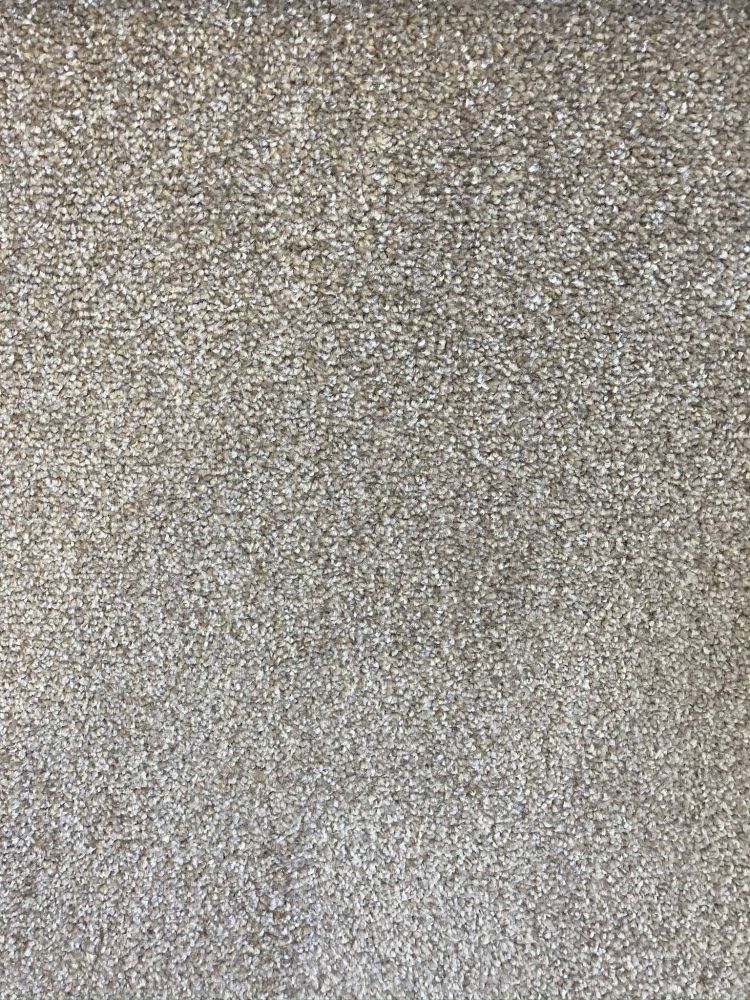 Everest Elite Saxony Carpet - 72 Stone