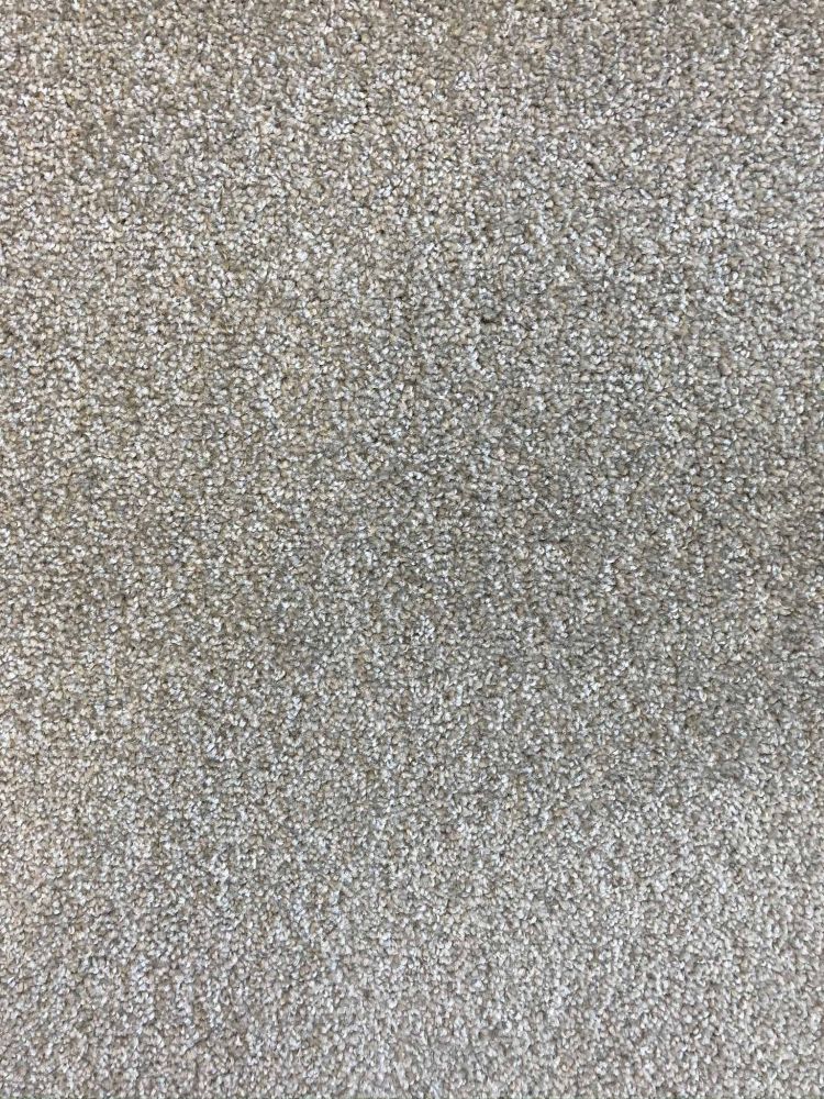 Everest Elite Saxony Carpet - 74 Shadow