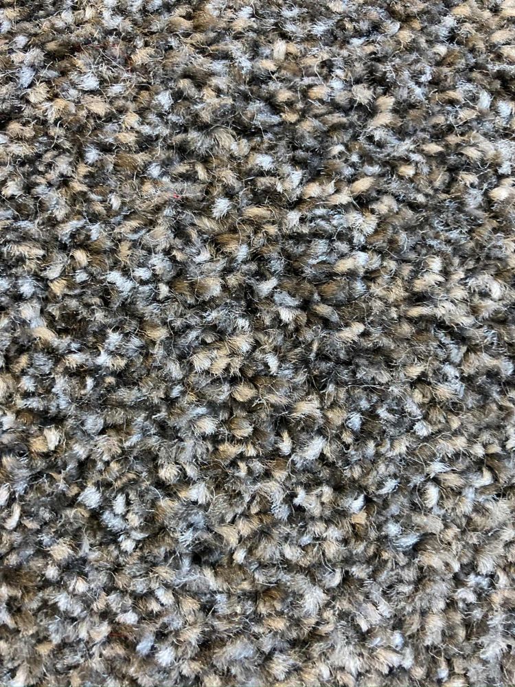 Everest Elite Saxony Carpet - 77 Slate