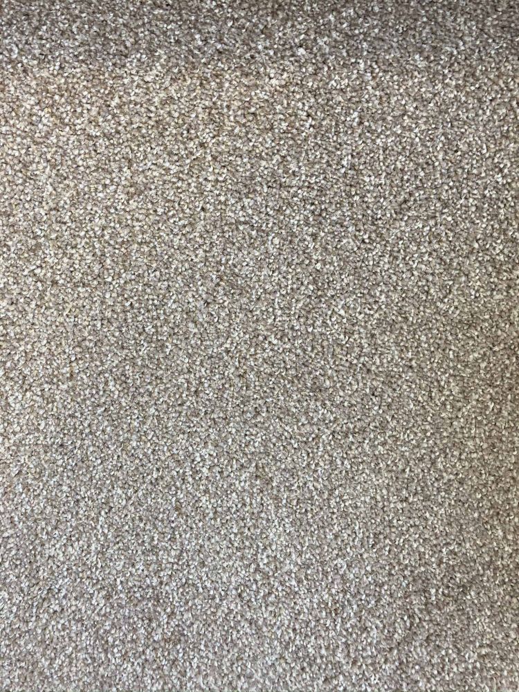 Everest Elite Saxony Carpet - 90 Camel