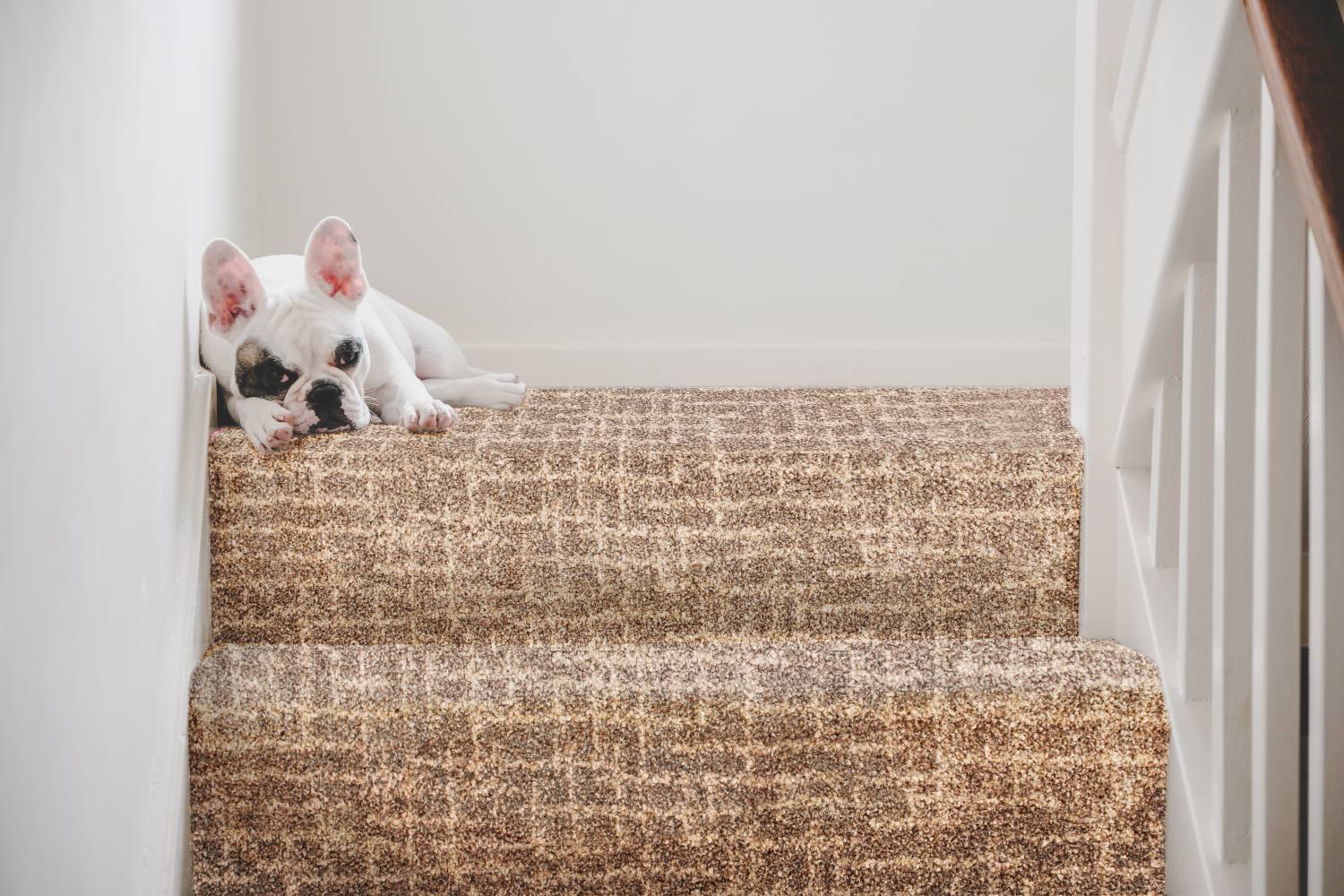 Firenze Grids Wilton Pattern Carpet - Pebble Firenze Grids Wilton Pattern Carpet - Pebble