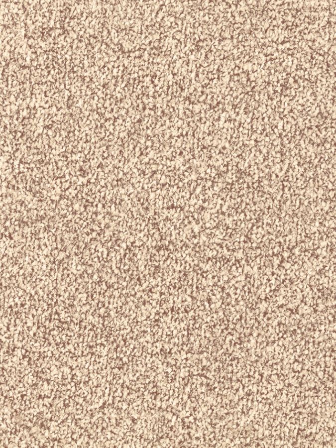 Hannover Heathers Saxony Carpet - Barley 695