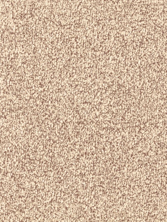 Hannover Heathers Saxony Carpet - Barley 695 Hannover Heathers Saxony Carpet - Barley 695
