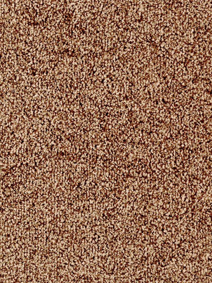 Hannover Heathers Saxony Carpet - Beaver 875 Hannover Heathers Saxony Carpet - Beaver 875