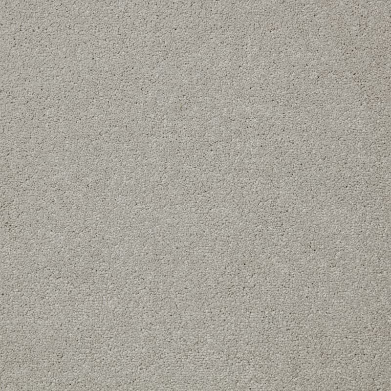 Status Twist Excel Carpet - Crostini