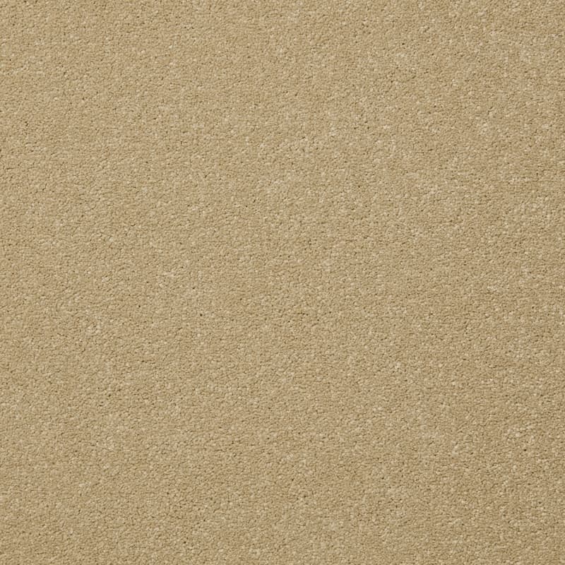 Status Twist Excel Carpet - Dough