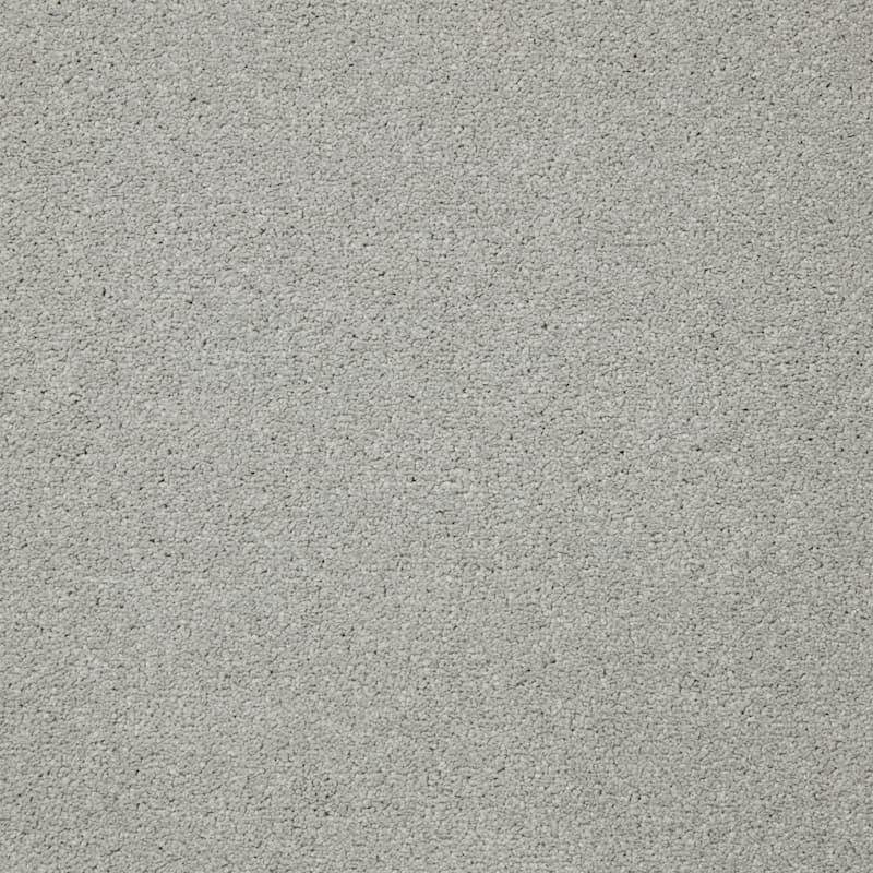 Status Twist Excel Carpet - Potting Shed