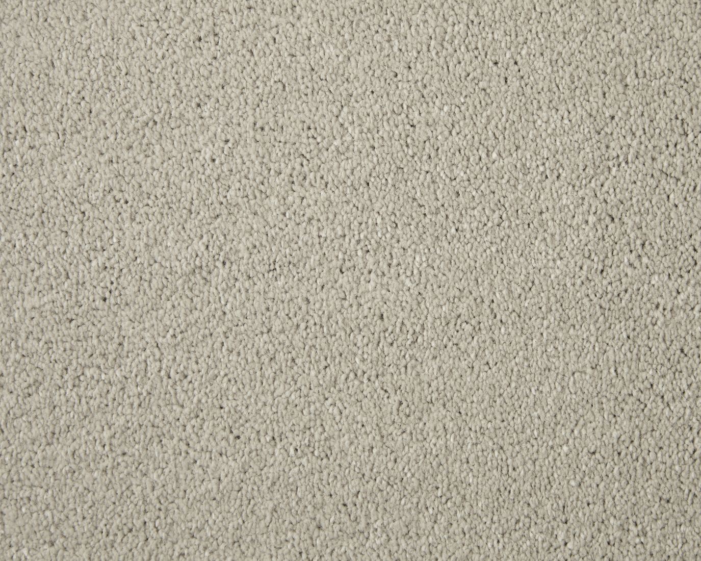 Abbey Twist Carpet - Andes White