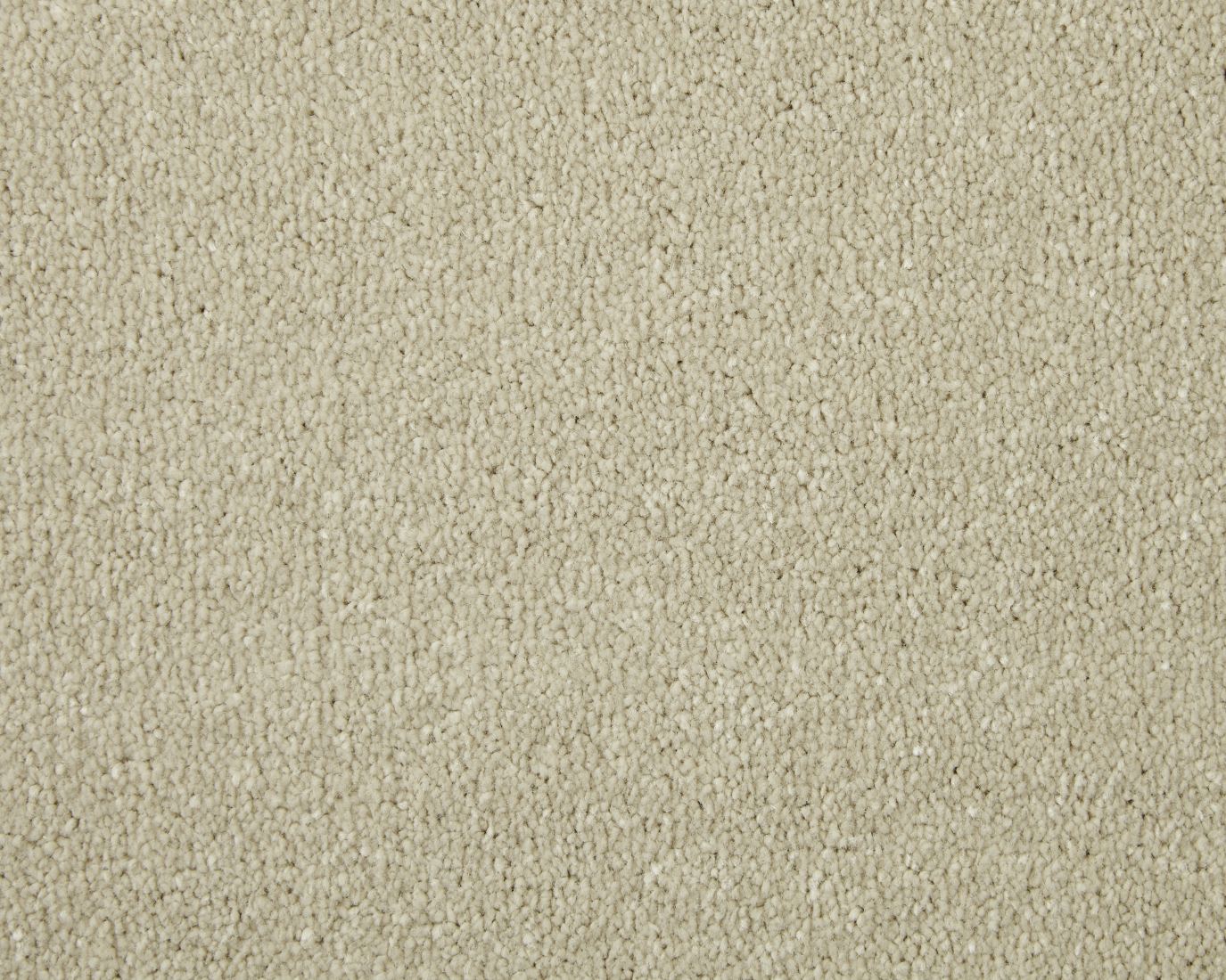 Abbey Twist Carpet - Beaufort Cream