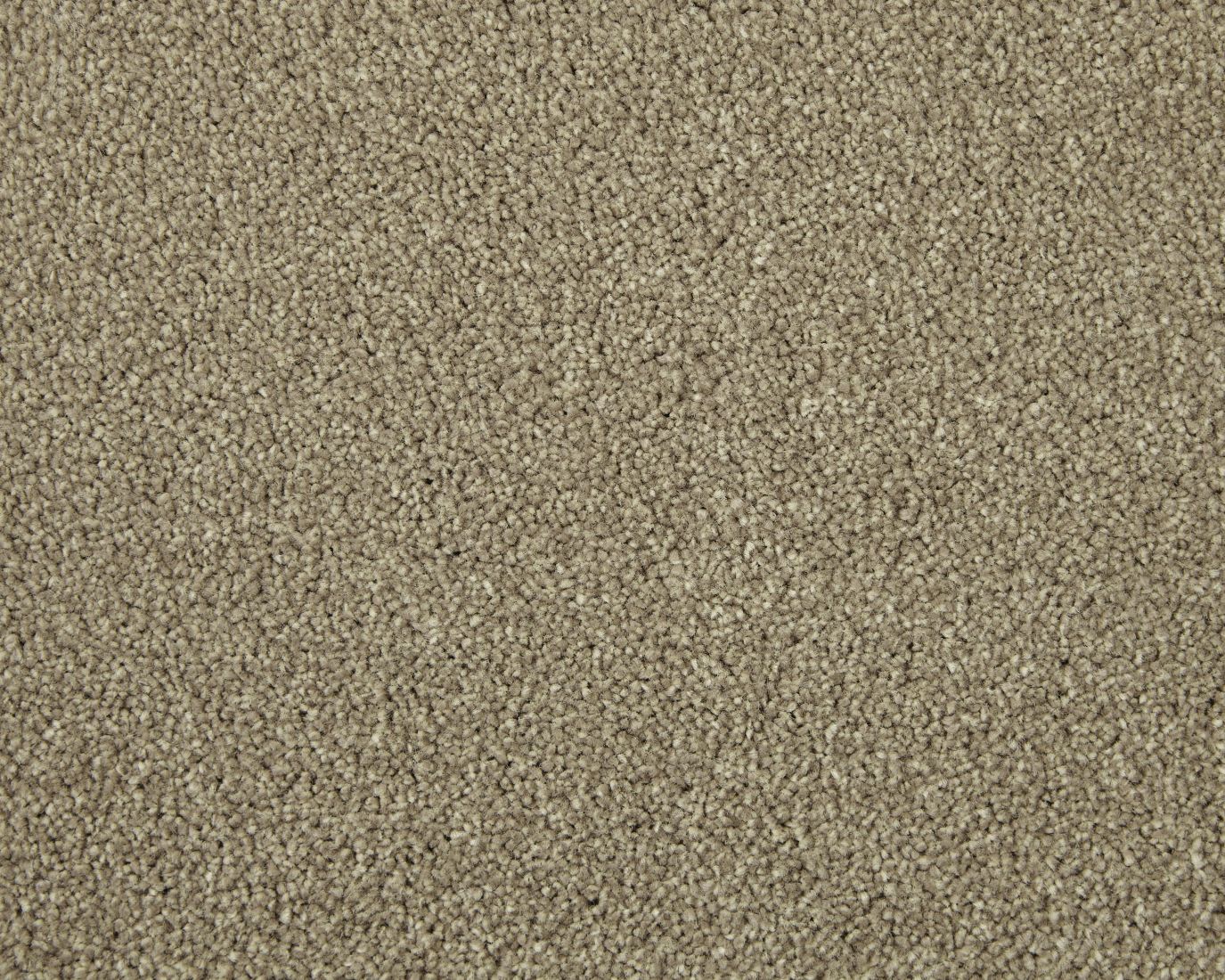 Abbey Twist Carpet - Karakoram