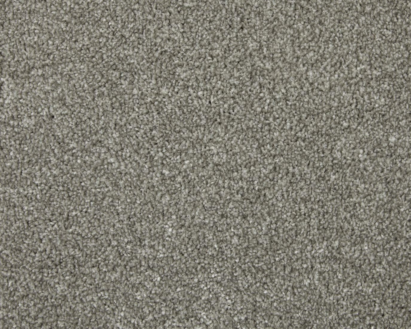 Abbey Twist Carpet - Taurus