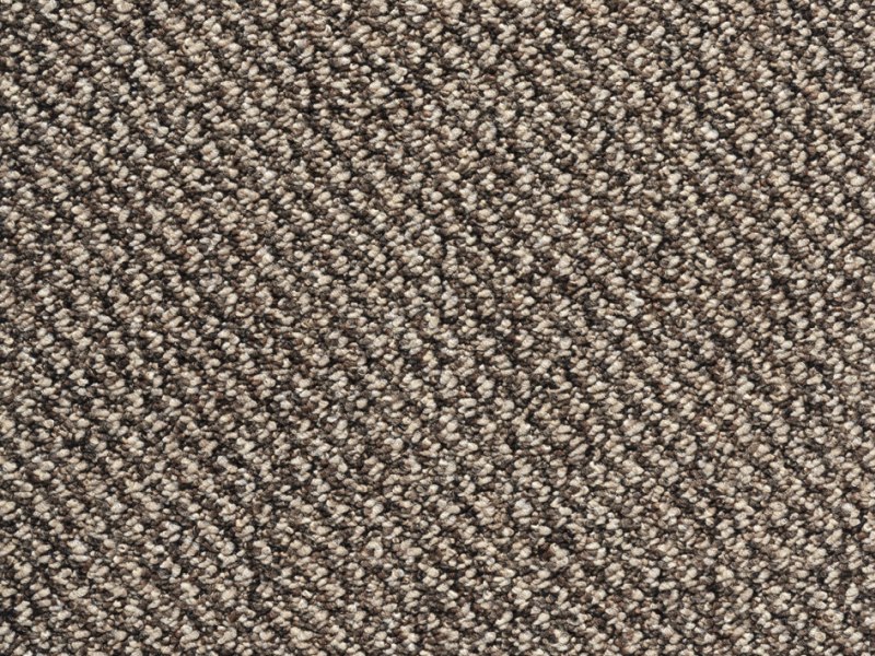 Amazing Loop Carpet - 875 Amazing Loop Carpet - 875