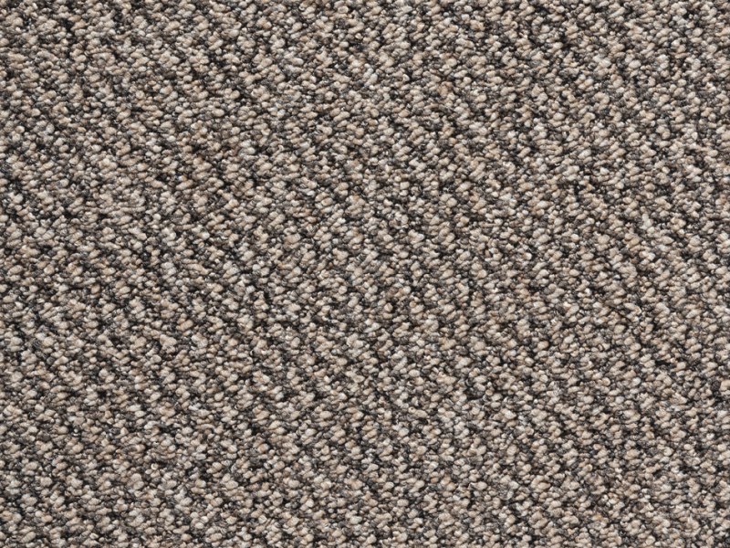 Amazing Loop Carpet - 885 Amazing Loop Carpet - 885