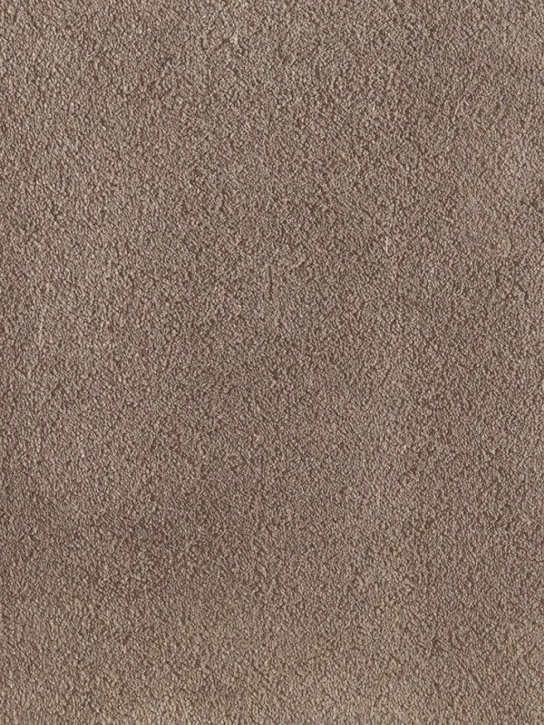 Amaryllis Super Soft Saxony Carpet - Sandstone 138 Amaryllis Super Soft Saxony Carpet - Sandstone 138