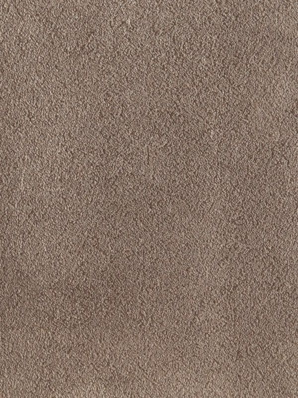 Amaryllis Super Soft Saxony Carpet - Sandstone 138