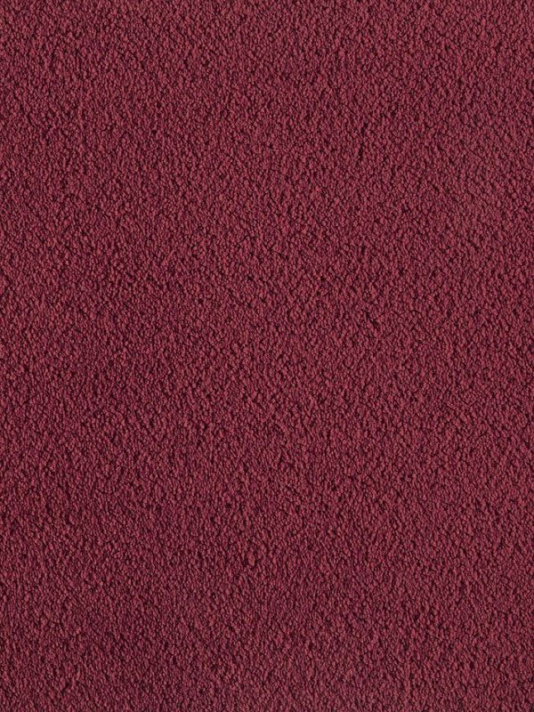 Amaryllis Super Soft Saxony Carpet - Ruby 16 Amaryllis Super Soft Saxony Carpet - Ruby 16