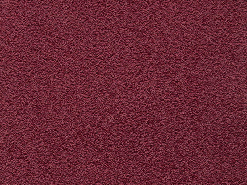 Amaryllis Super Soft Saxony Carpet - Ruby 16