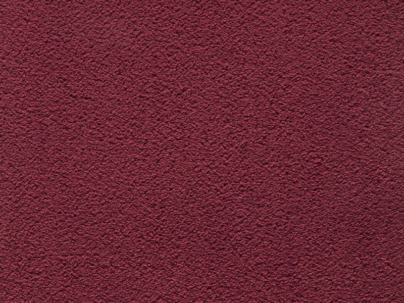 Amaryllis Super Soft Saxony Carpet - Ruby 16 Amaryllis Super Soft Saxony Carpet - Ruby 16
