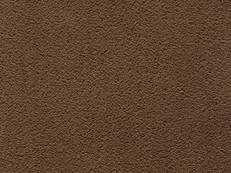 Amaryllis Super Soft Saxony Carpet - Brownie 40