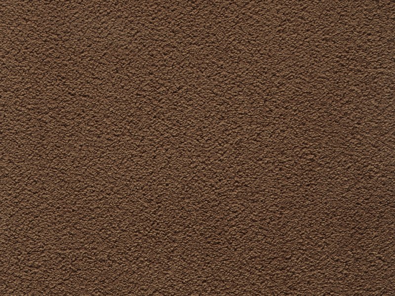 Amaryllis Super Soft Saxony Carpet - Brownie 40 Amaryllis Super Soft Saxony Carpet - Brownie 40