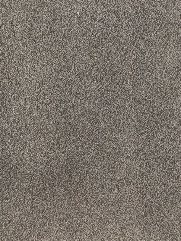 Amaryllis Super Soft Saxony Carpet - Grey 43 Amaryllis Super Soft Saxony Carpet - Grey 43