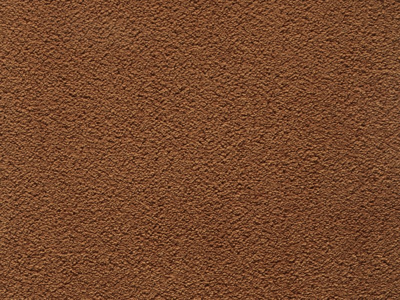 Amaryllis Super Soft Saxony Carpet - Rust 66