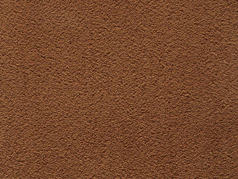 Amaryllis Super Soft Saxony Carpet - Rust 66 Amaryllis Super Soft Saxony Carpet - Rust 66