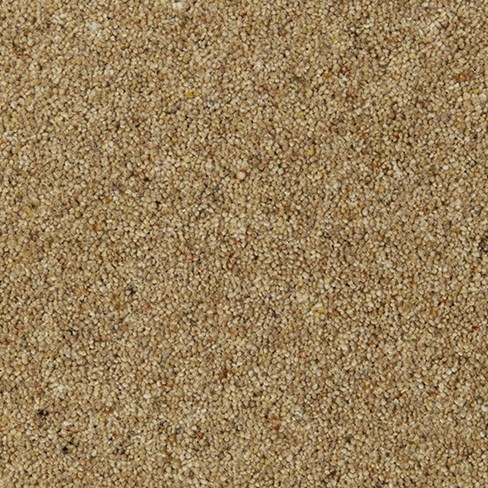 Balmoral Elite Wool Twist Carpet - Bloom