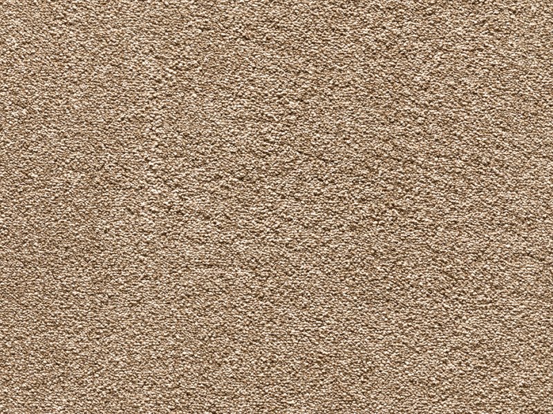 Calgary Plains Twist Carpet - Abbey Stone 820