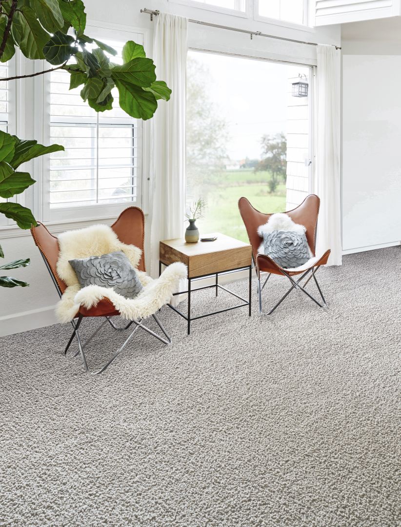 Extravagance Super Soft Deep Saxony Carpet - Stone 910 Extravagance Super Soft Deep Saxony Carpet - Stone 910