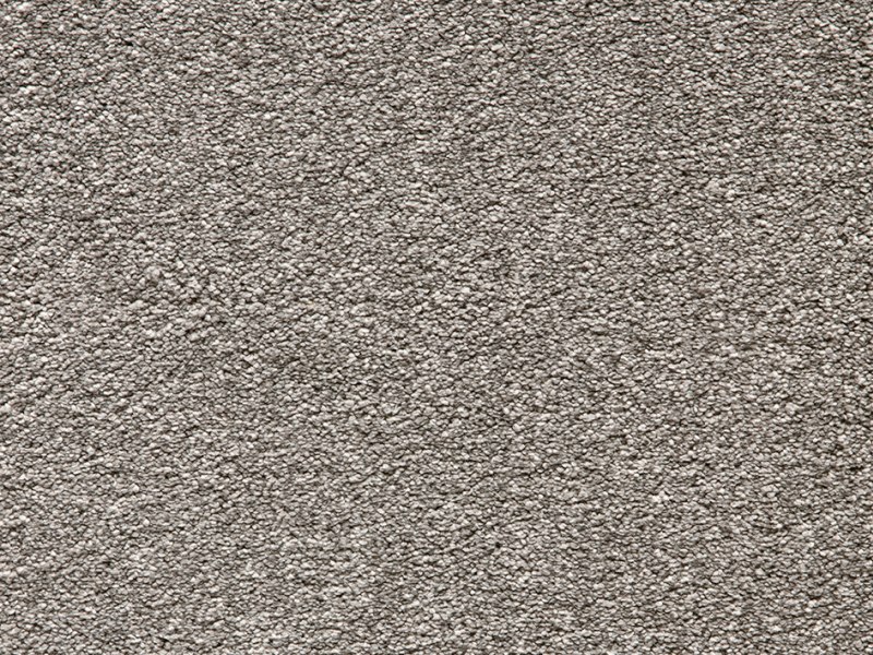 Kesari Super Soft Saxony Carpet - Persian Cat 950