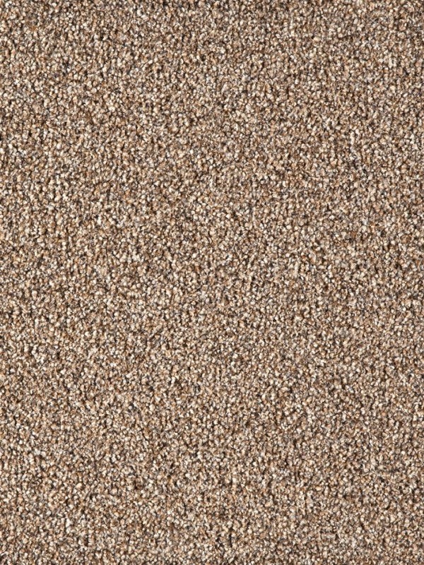 Oslo Heathers Saxony Carpet - Seal Brown 875 