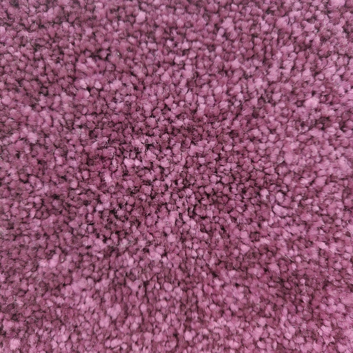 Pluto Twist Carpet - 9401 Purple