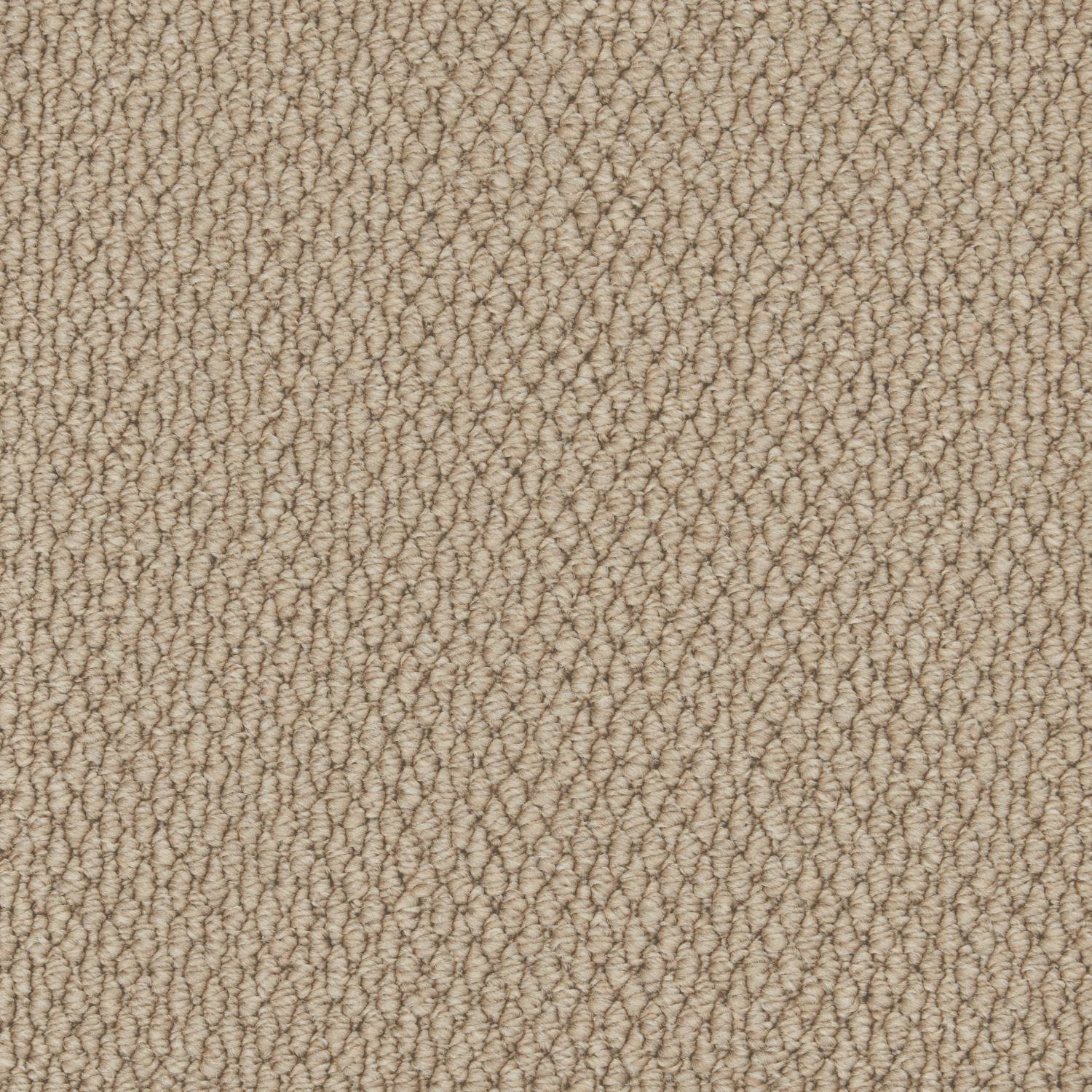 Rural Textures Loop Carpet - Roast Coffee Weave