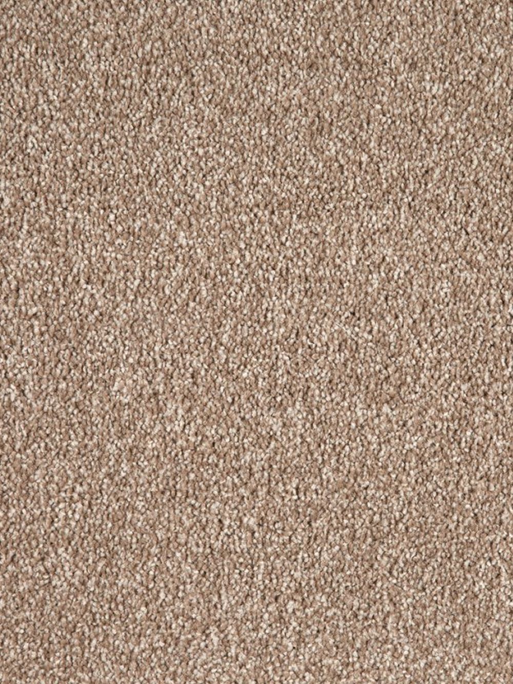 Swedish Saxony Carpet - Caramel 785