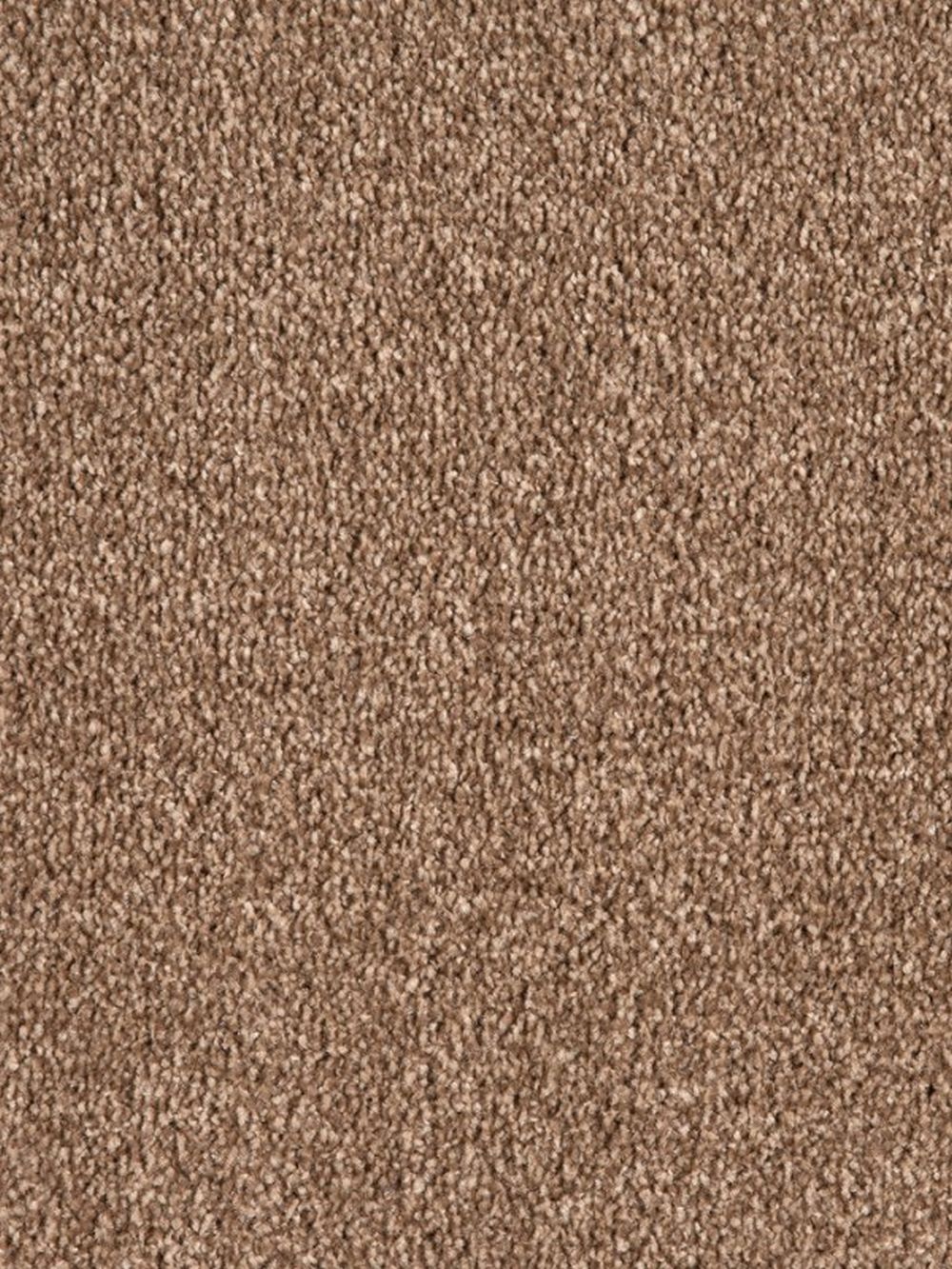 Swedish Saxony Carpet - Mocha 825