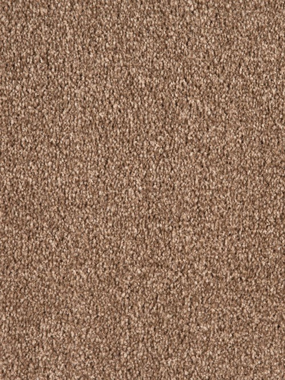 Swedish Saxony Carpet - Mocha 825 Swedish Saxony Carpet - Mocha 825