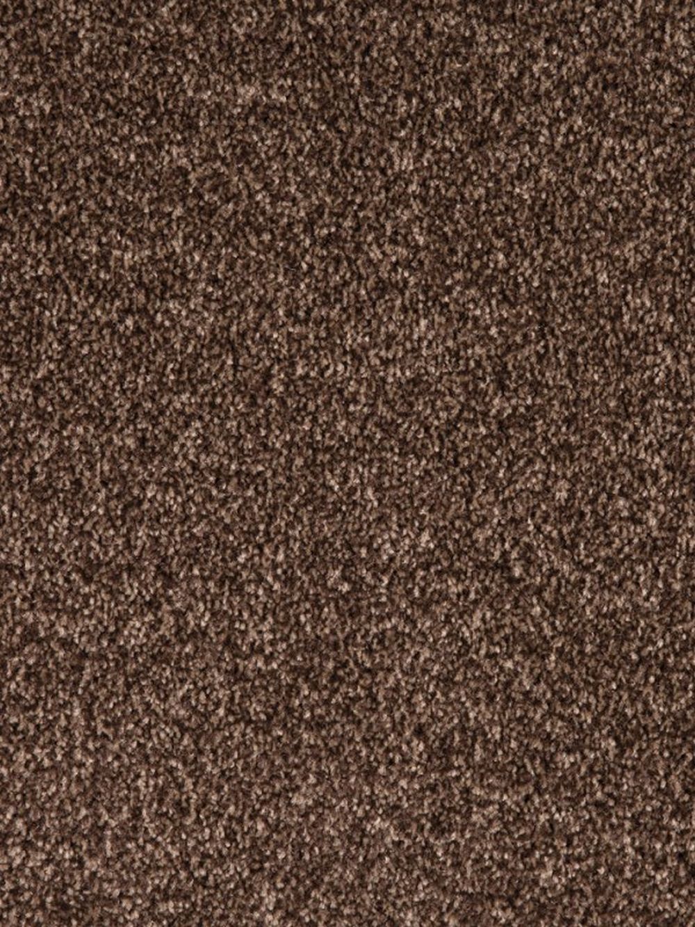 Swedish Saxony Carpet - Brown 880