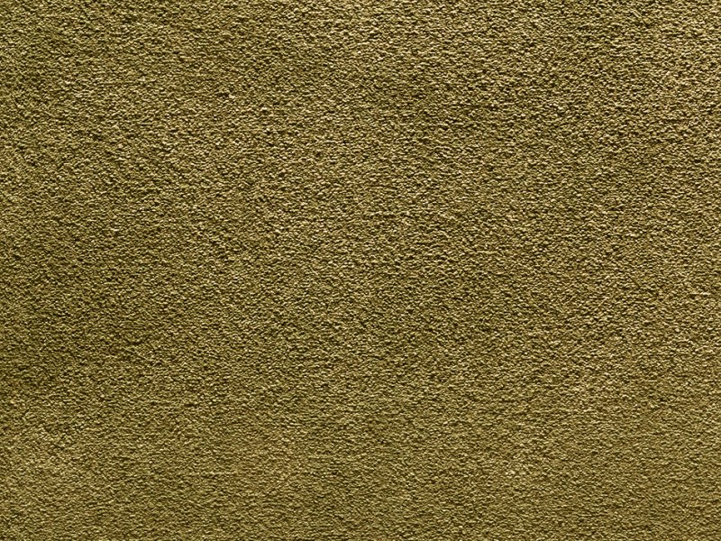 Galloway Super Soft Silky Saxony Carpet - Tree Leaf 23