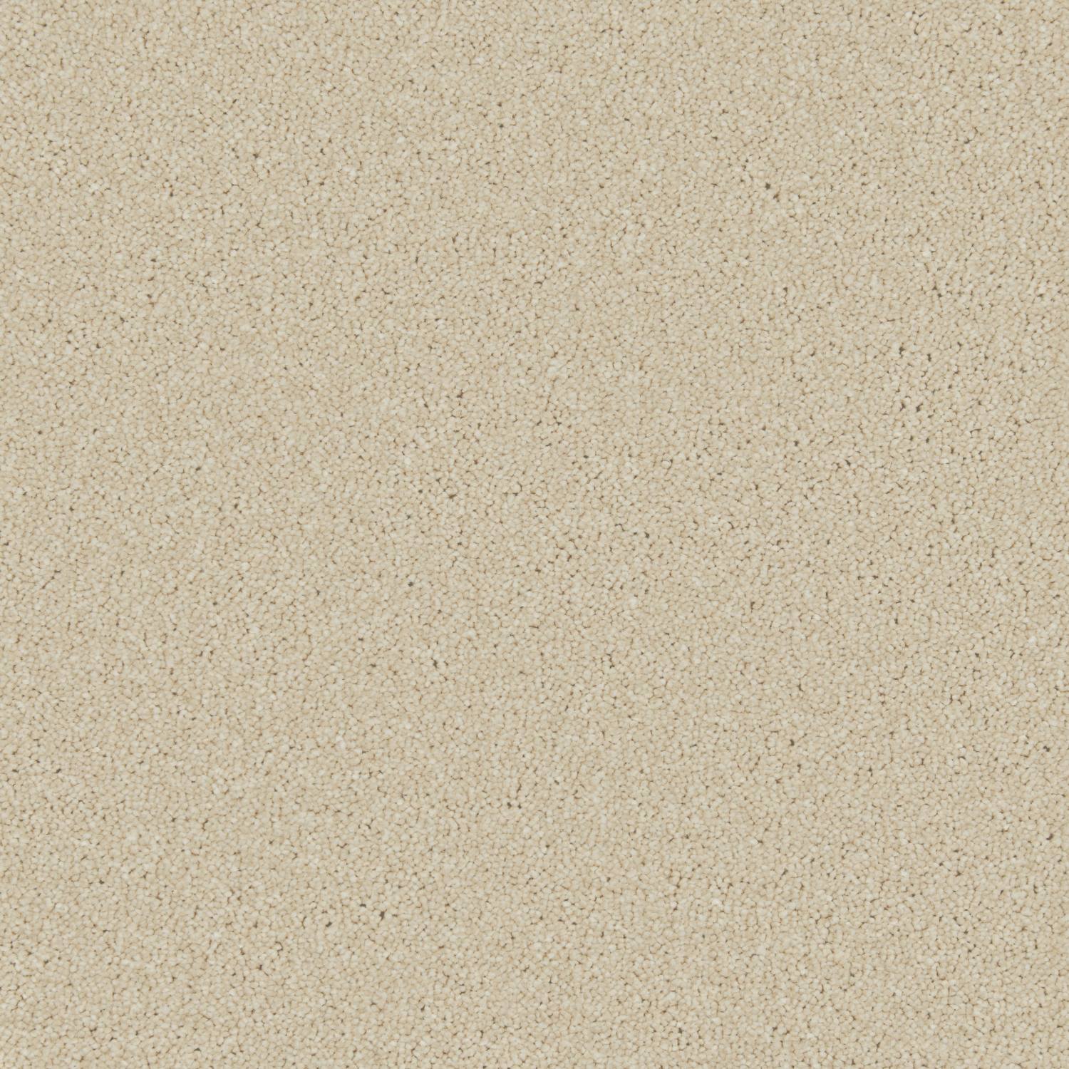 Distinction Twist Carpet - Almond Milk