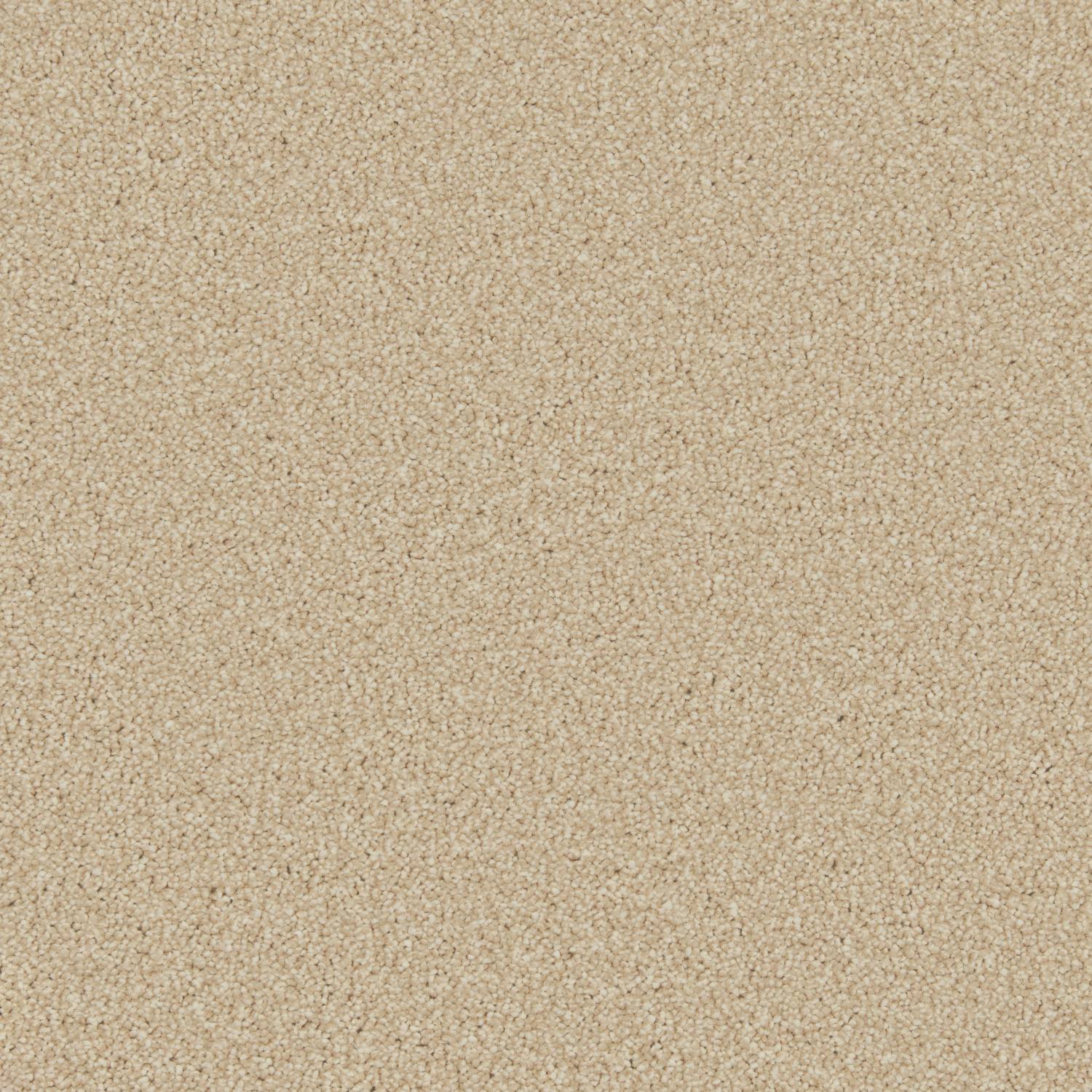 Distinction Twist Carpet - Autumn Rise