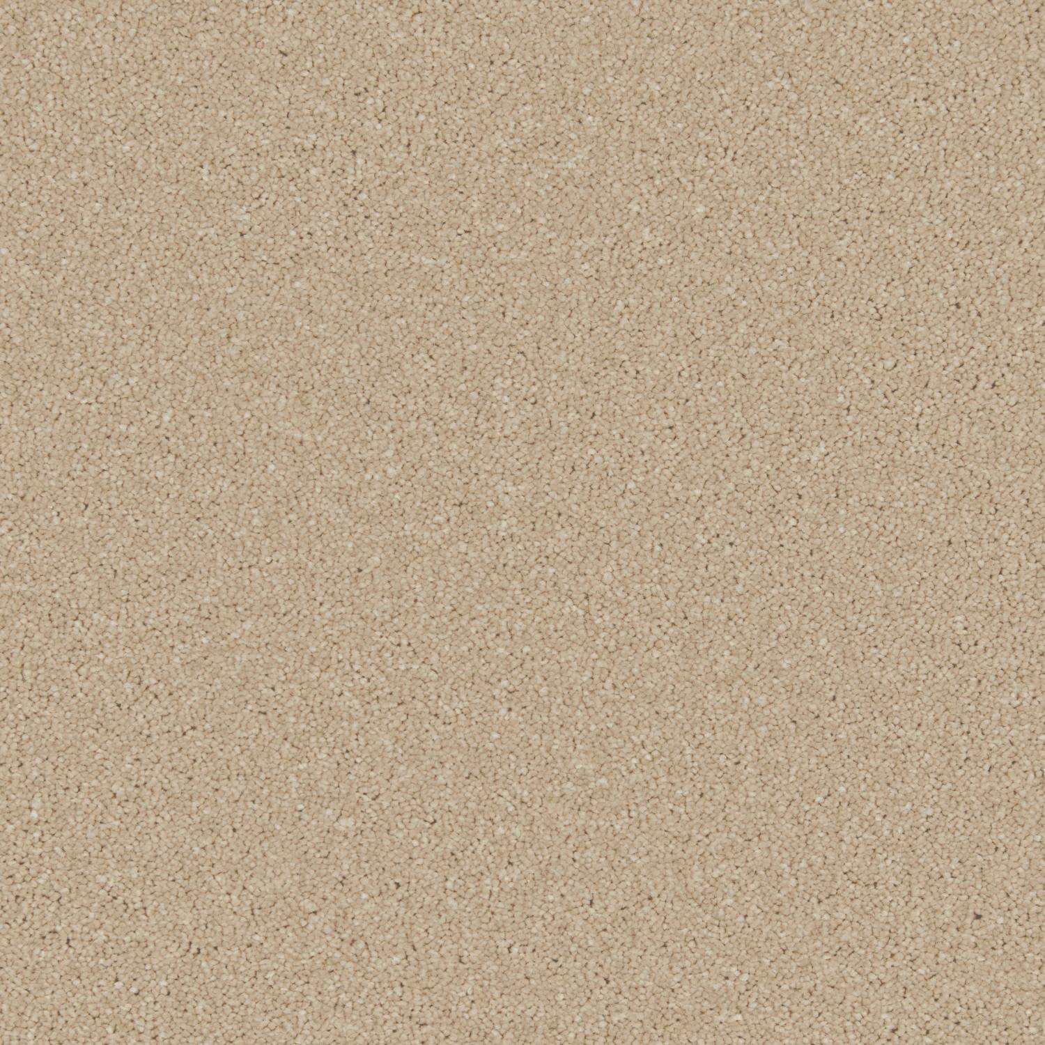 Distinction Twist Carpet - Bobcat