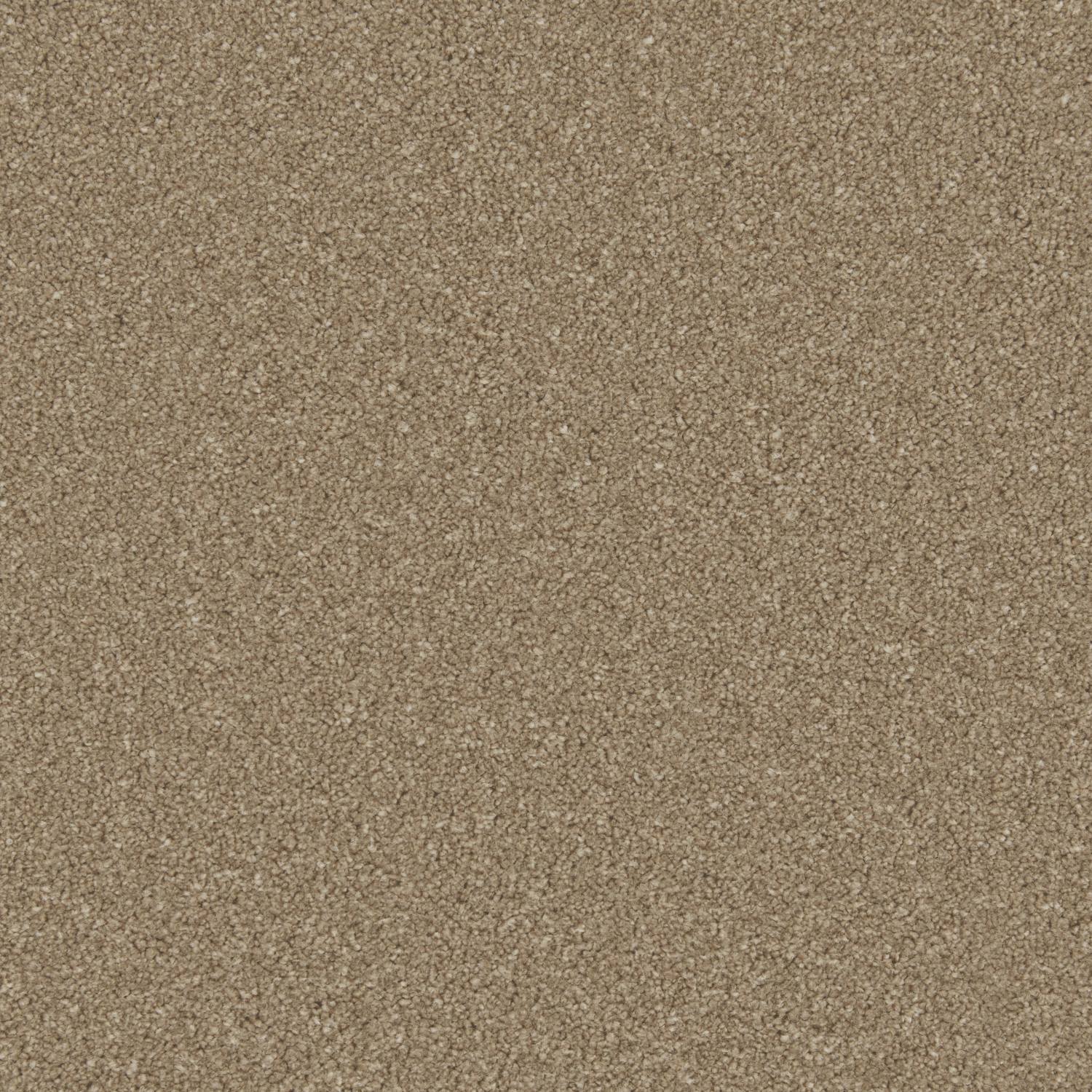Distinction Twist Carpet - Coffee Bean