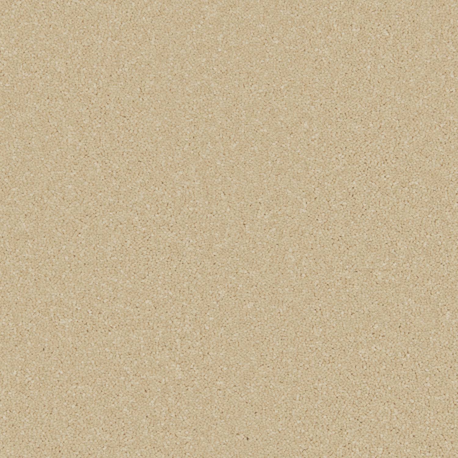 Distinction Twist Carpet - Cream Sorbet