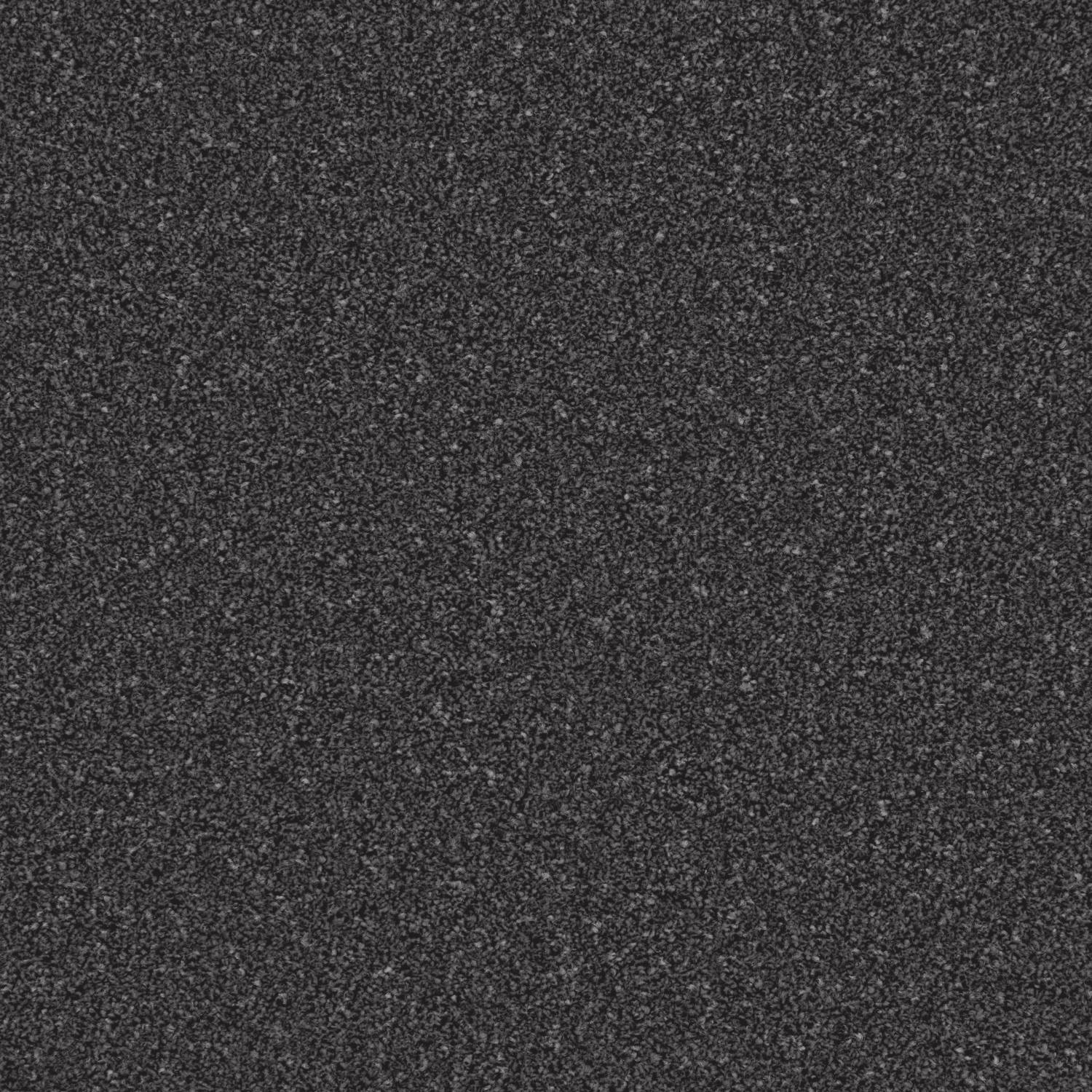 Distinction Twist Carpet - Mollusc