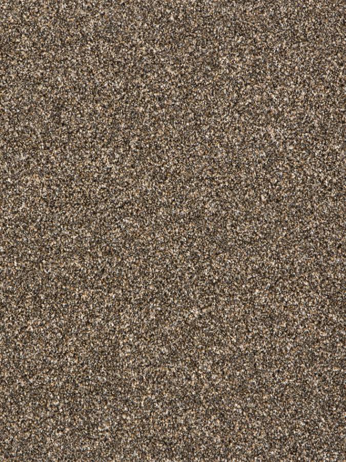 Duchess Twist Luxury Carpet - 895 Dark Brown