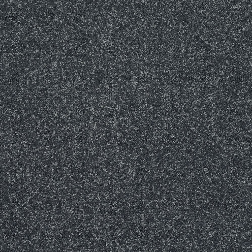 Stainfree Reflections Twist Carpet - Ebony